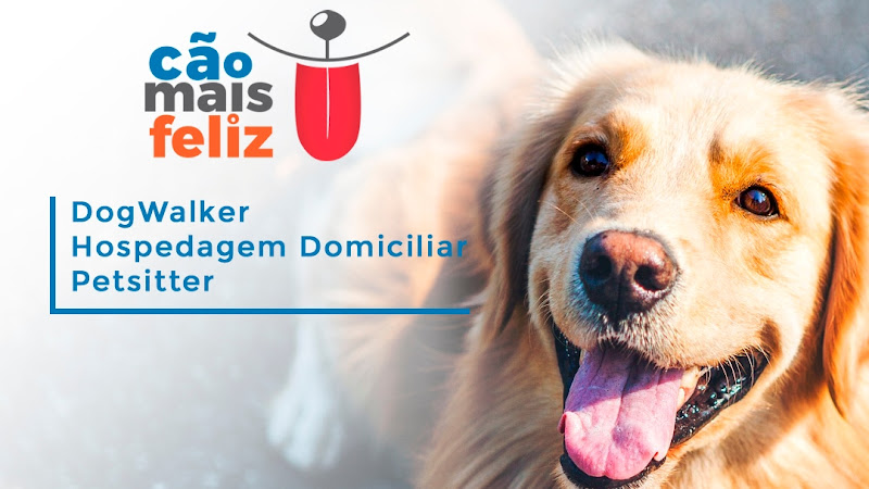 Cão Mais Feliz | Passeador & Hospedagem de Cães | Sergipe